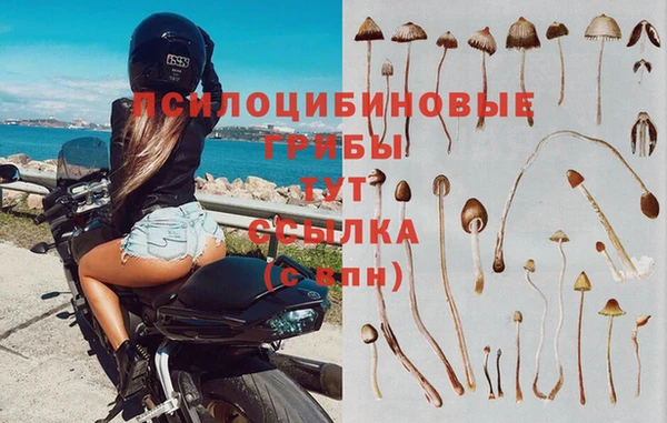 ПСИЛОЦИБИНОВЫЕ ГРИБЫ Богородицк