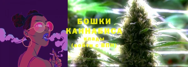 ПСИЛОЦИБИНОВЫЕ ГРИБЫ Богородицк