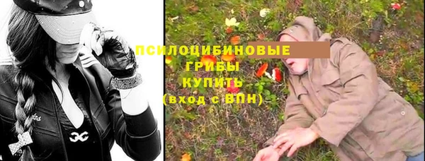 ПСИЛОЦИБИНОВЫЕ ГРИБЫ Богородицк