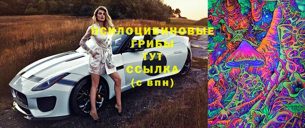 ПСИЛОЦИБИНОВЫЕ ГРИБЫ Богородицк