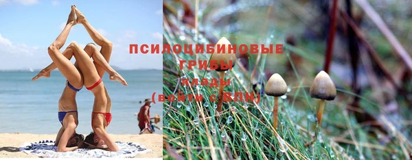 ПСИЛОЦИБИНОВЫЕ ГРИБЫ Богородицк