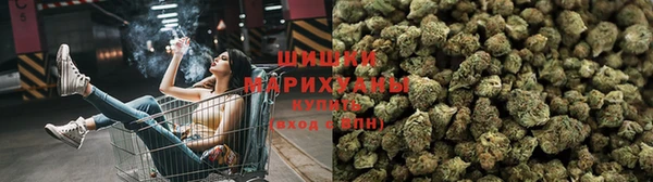 каннабис Белокуриха